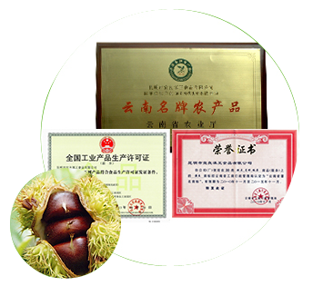 滇王甘栗,滇王板栗,速凍板栗仁